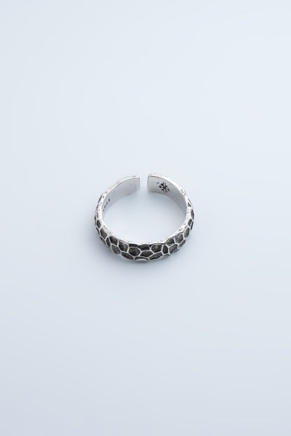 Aegis Ring